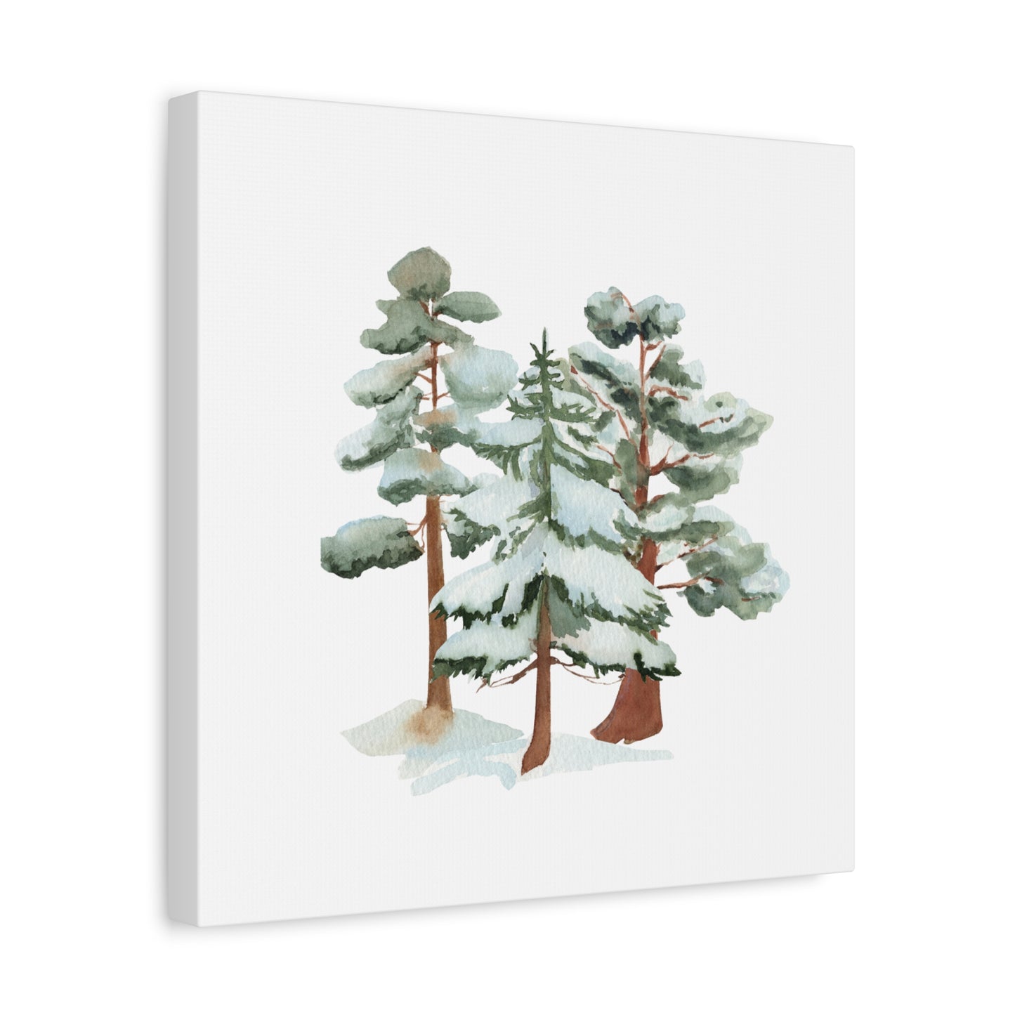 Snowy Pine Forest