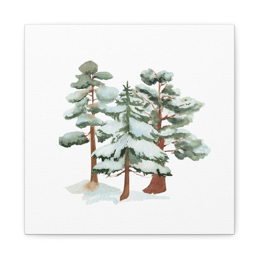Snowy Pine Forest
