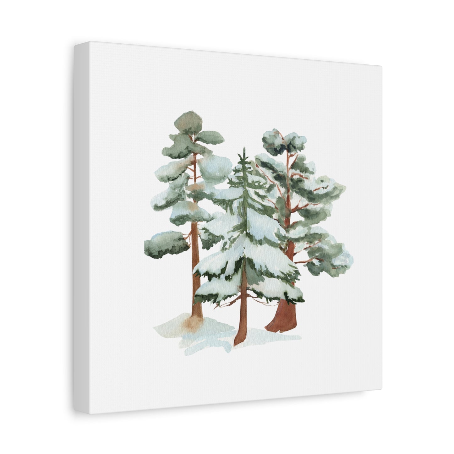 Snowy Pine Forest