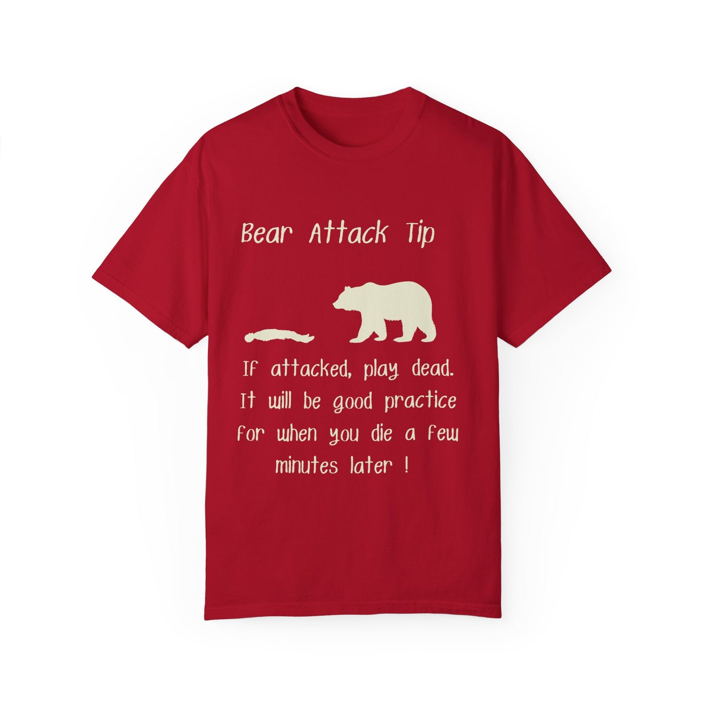 Bear Attack