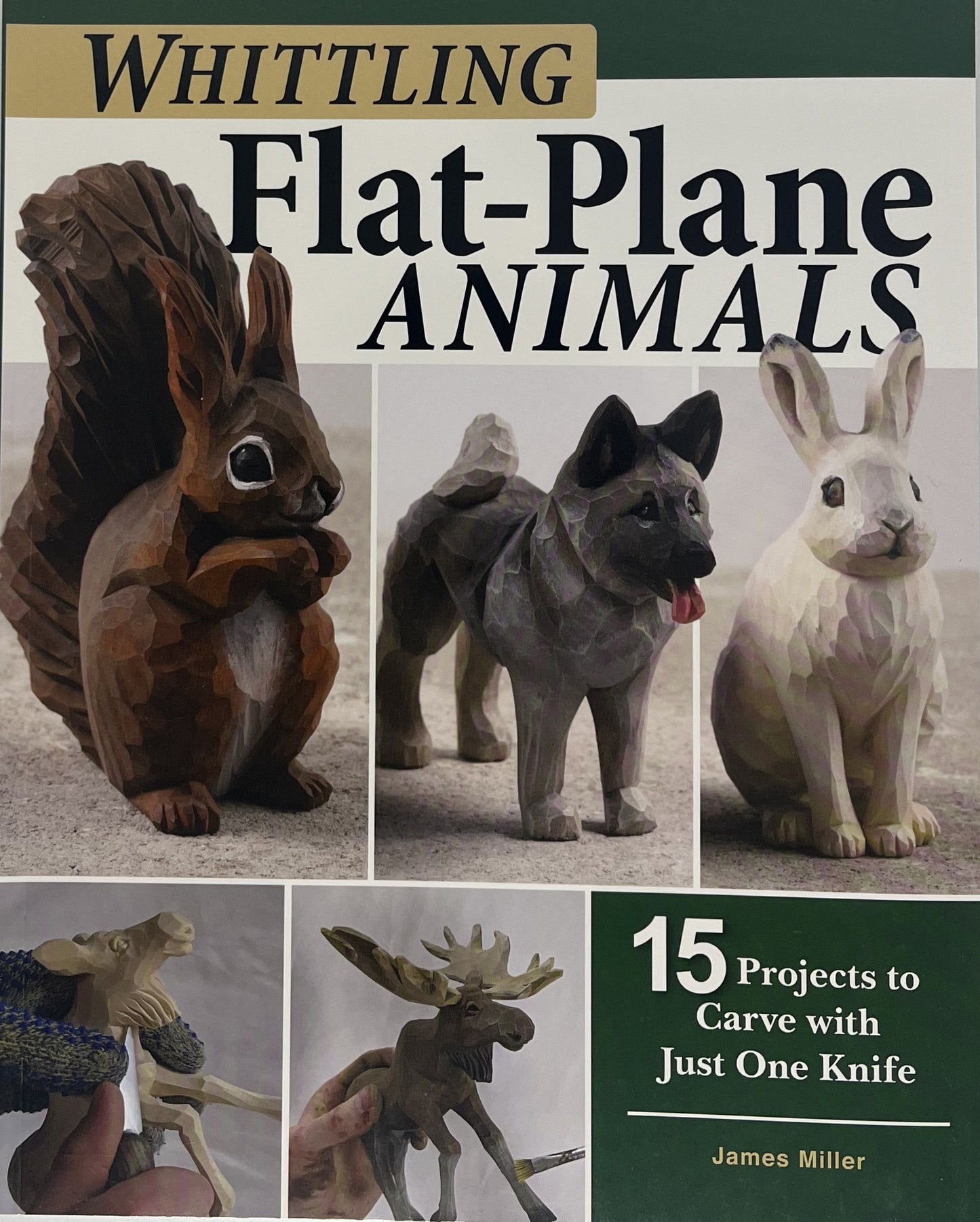 Flat-Plane Animals