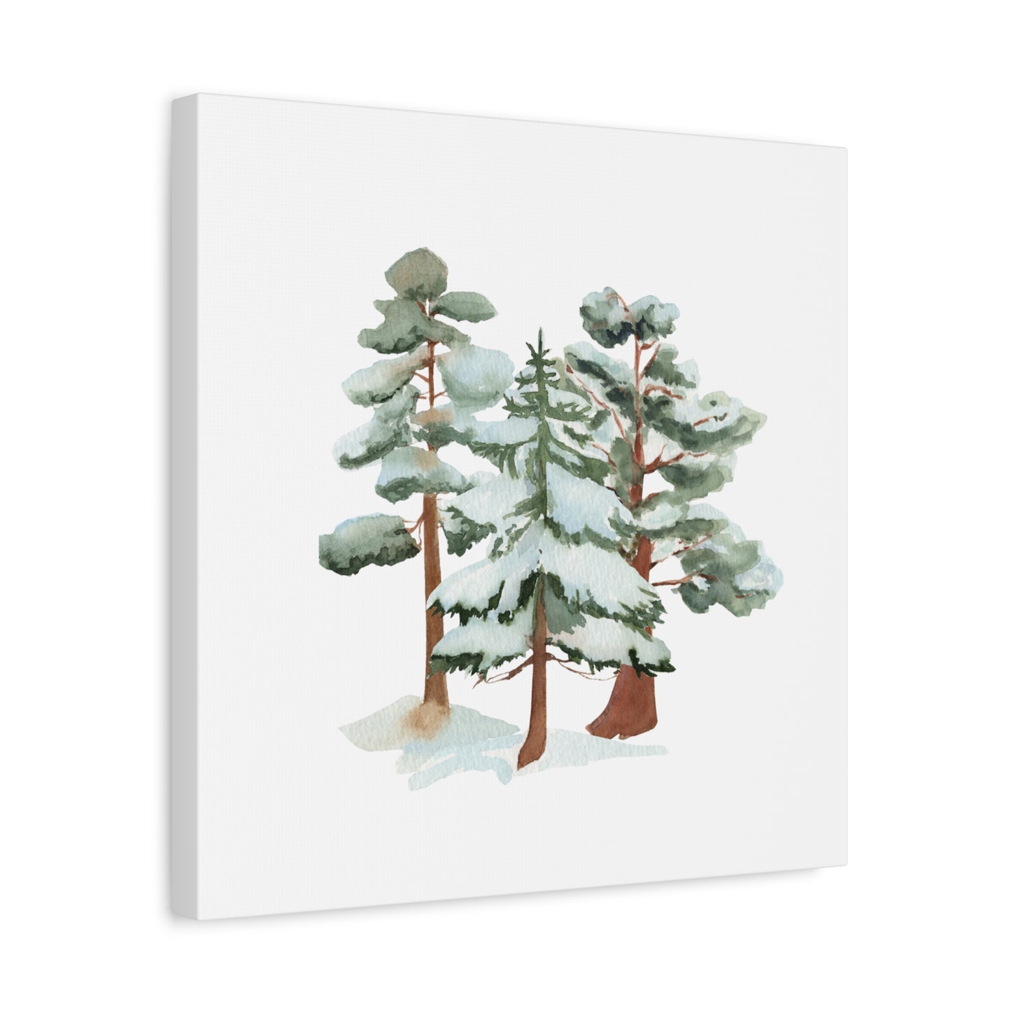 Snowy Pine Forest