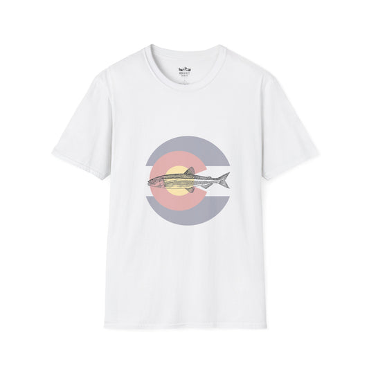 Fish Colorado!
